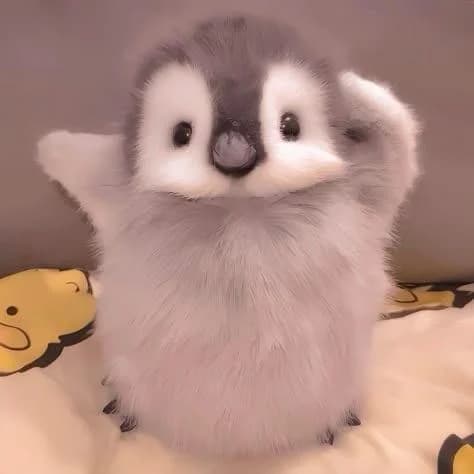 Pip's Antarctic Awakening